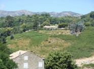 Immerapartment Bastelica