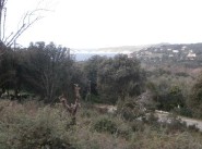 Kauf verkauf gelände Cargese